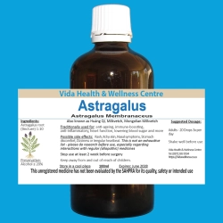 Astragalus
